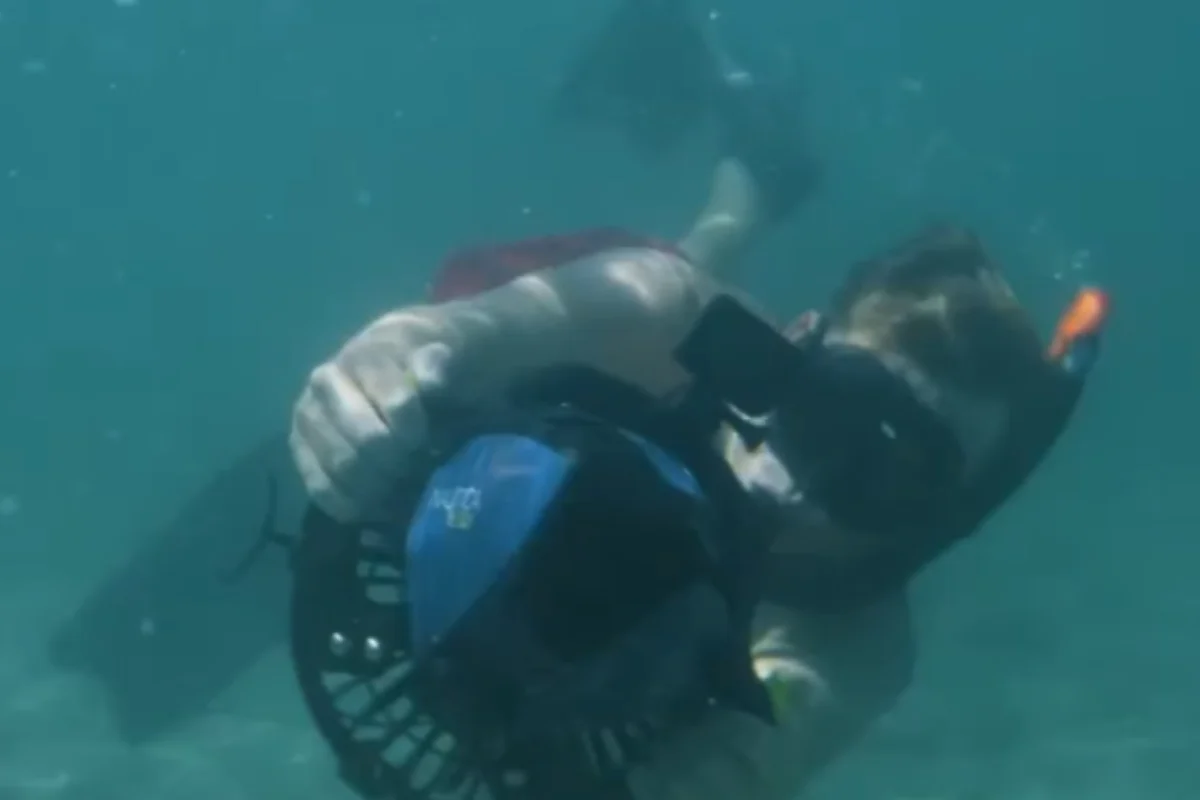 PROFESSIONAL POWER: 500W MOTOR WITH 3-SPEED PRECISION